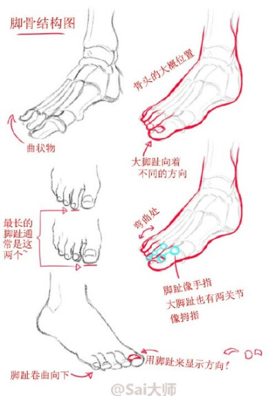 关于画脚的很棒的绘画学习资料分享