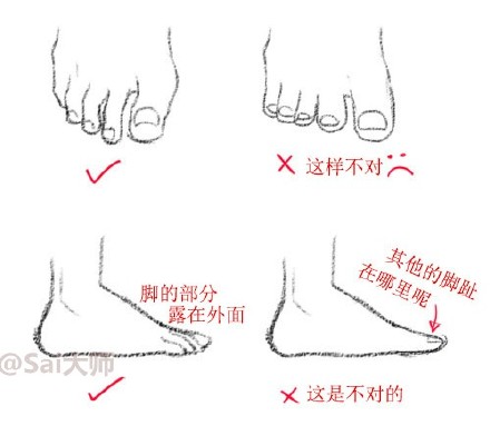 关于画脚的很棒的绘画学习资料分享