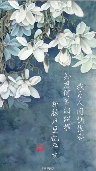 【古风·不息】浅吟些许字字入心的句子 “ 你离开，我衰败，心花凋零，落地成灰 ” “ 过客如此，陌路何及？”收下欣赏～#古风古意#