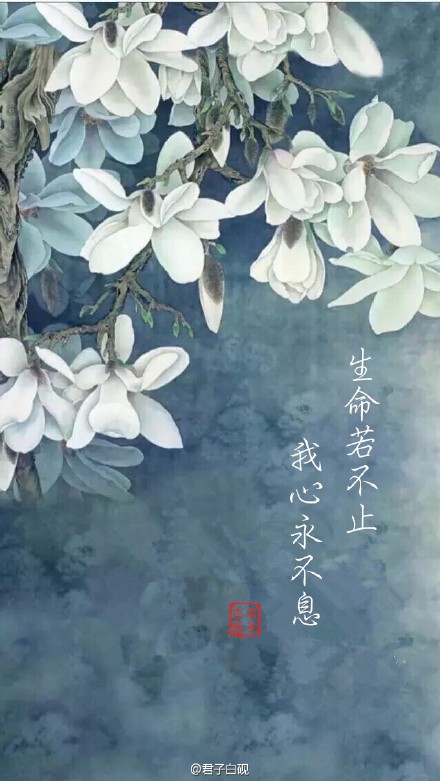 【古风·不息】浅吟些许字字入心的句子 “ 你离开，我衰败，心花凋零，落地成灰 ” “ 过客如此，陌路何及？”收下欣赏～#古风古意#