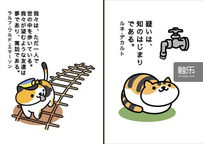 喵星人 猫 猫咪后院 动漫