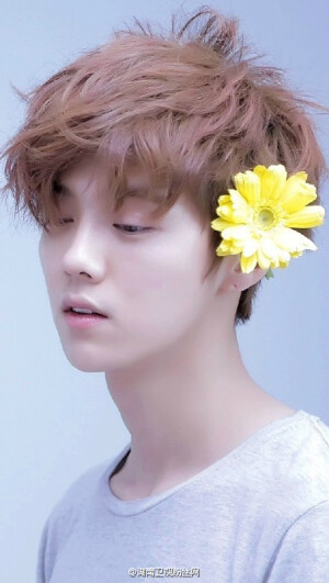 鹿晗LUHAN