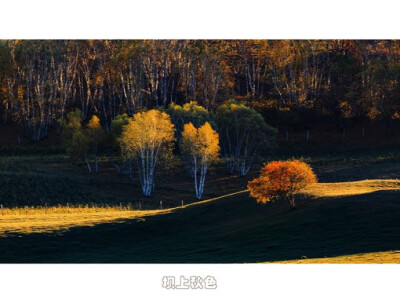 来自poco摄影师桧雪的唯美秋天风光摄影作品，这个国庆假期你有没有去这里玩呢。『“坝上”是一地理名词，特指由草原陡然升高而形成的地带，又因气候和植被的原因形成的草甸式草原。』