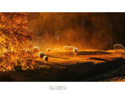 来自poco摄影师桧雪的唯美秋天风光摄影作品，这个国庆假期你有没有去这里玩呢。『“坝上”是一地理名词，特指由草原陡然升高而形成的地带，又因气候和植被的原因形成的草甸式草原。』