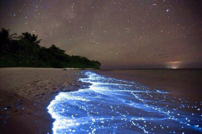 马尔代夫的Vaadhoo岛边海滩有一片被称为“蓝眼泪”的蓝沙，蓝眼泪是一种海洋微生物，靠着海水的某种能量生存，随着海浪的翻涌被冲到岸上或空中，化作星河般扑面而来的点点荧光...不过离开海水的“蓝眼泪”只能存活一…