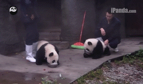 再让我多吃一口行吗？好不好啊？我还没吃饱啊，还没吃饱，尊的没饱，放开我啊啊啊........