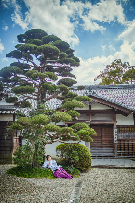 #带着汉服去旅行# 天时人事日相催，冬至阳生春又来。@弥秋女怪兽 服装/@芥子记 拍摄地/东大寺