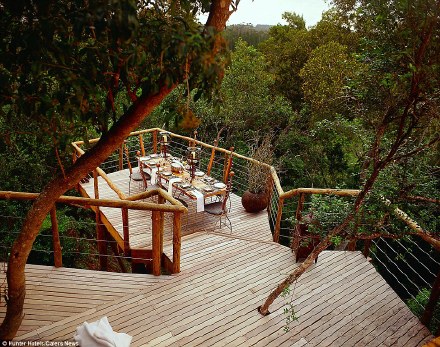 南非的普利登堡湾有一家叫做Tsala Treetop Lodge的树屋酒店，豪华套房里有游泳池还有壁炉，在阳台上吃饭，还有小鸟飞下来，啄食，一晚大概要600英镑（约5700RMB）,有生之年……