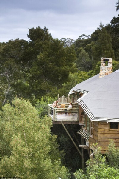 南非的普利登堡湾有一家叫做Tsala Treetop Lodge的树屋酒店，豪华套房里有游泳池还有壁炉，在阳台上吃饭，还有小鸟飞下来，啄食，一晚大概要600英镑（约5700RMB）,有生之年……