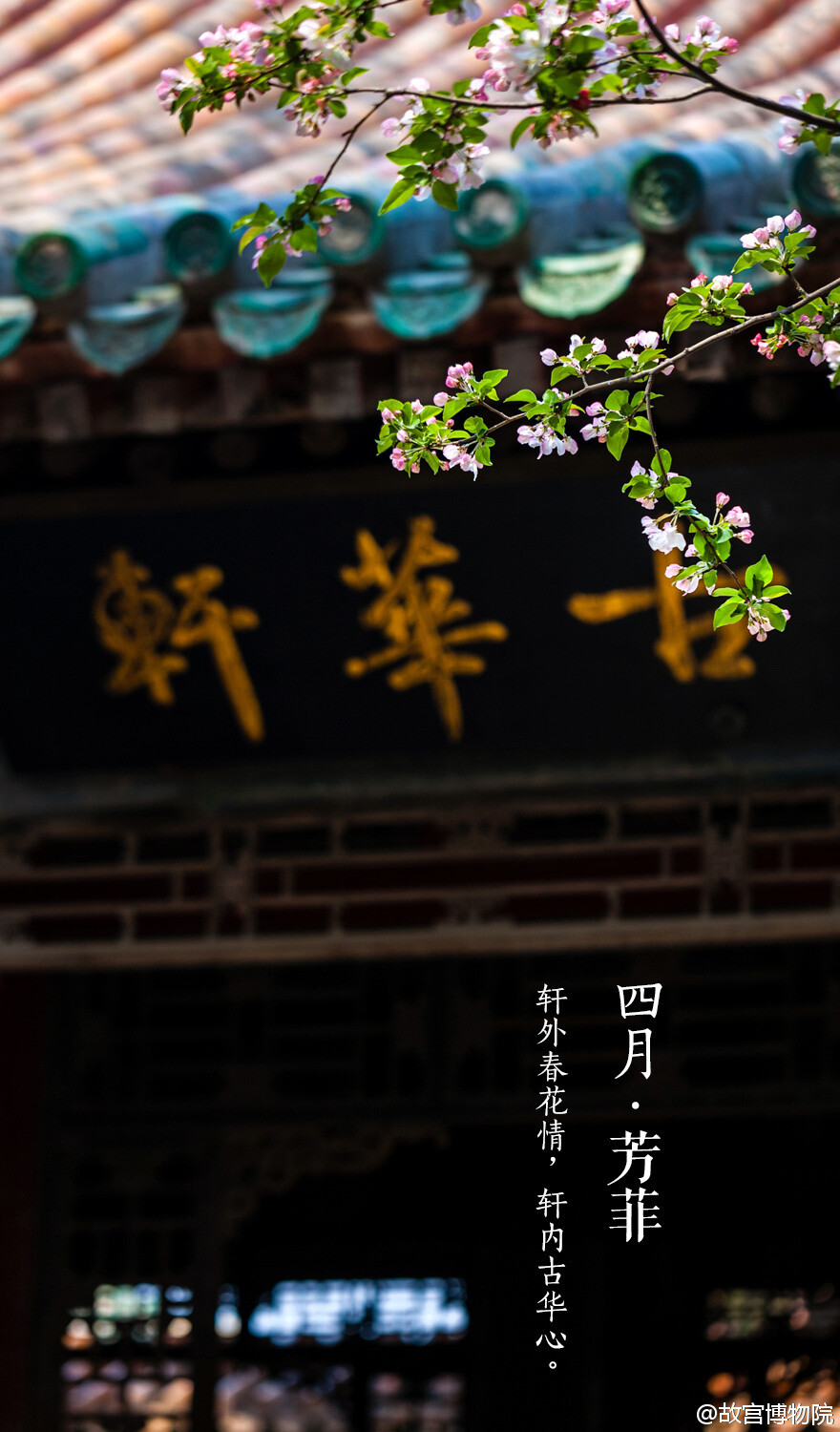  轩外春花情，轩内古华心。#紫禁城岁时#飞絮蒙蒙中，四月将尽，群芳暂歇。桃李海棠，丁香牡丹，次第开落，待芬芳散去，始觉春去，夏将至。人间景象万般旖旎，念怀【四月•芳菲】。@故宫博物院 中国传统美学 诗词 建筑