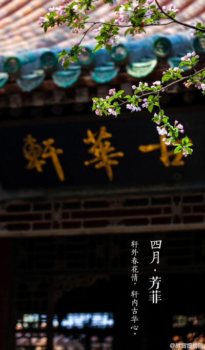  轩外春花情，轩内古华心。#紫禁城岁时#飞絮蒙蒙中，四月将尽，群芳暂歇。桃李海棠，丁香牡丹，次第开落，待芬芳散去，始觉春去，夏将至。人间景象万般旖旎，念怀【四月•芳菲】。@故宫博物院 中国传统美学 诗词 建…