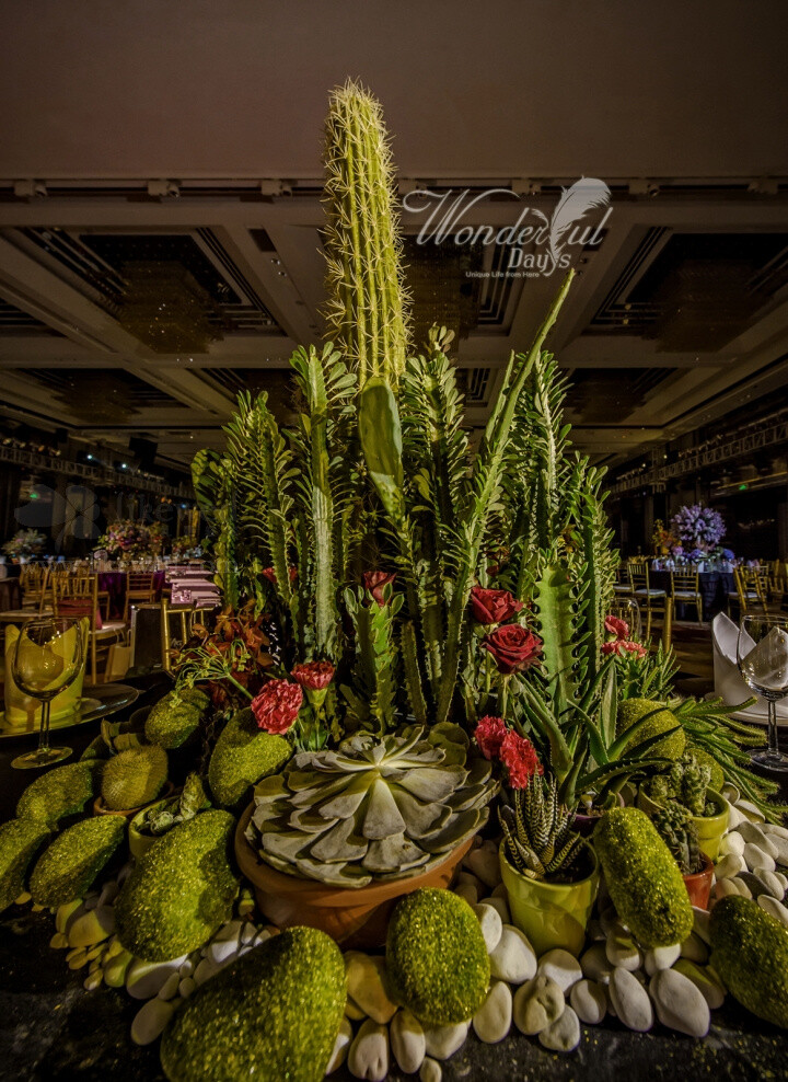 梦境中的岛屿低语婉转，真实如流萤。这里有莫吉托的情人，也有循环绵延的永恒。记忆的倒影在这里重现，瞬息间的迷幻雕刻成电影。时光明媚了一夏季，恒久等待你的光顾。WonderfulDays婚礼秀《岛。TheIsland》