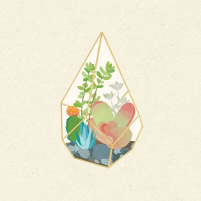 和你分享一组关于多肉植物的小清新手绘插画作品，来自插画师HARRIET SUSSMAN的创作。那这么多种类的多肉，你都认识吗。。