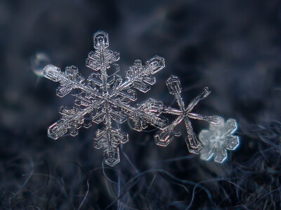 雪花