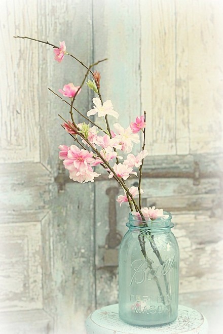 【 精美的 水彩植物 】