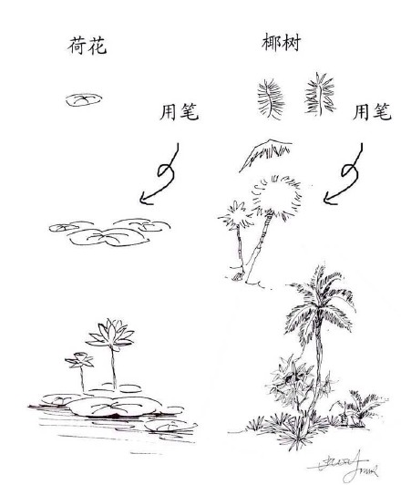 #繪畫學(xué)習(xí)# 一些實(shí)用的 植物速寫技法，累積下來了好資料，學(xué)習(xí)！