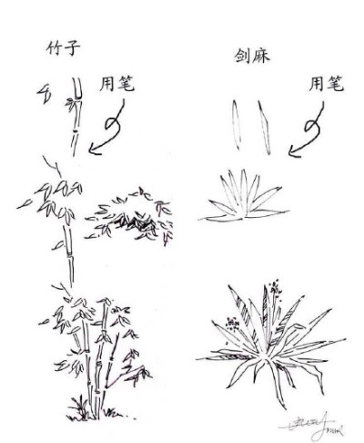 #绘画学习# 一些实用的 植物速写技法，累积下来了好资料，学习！