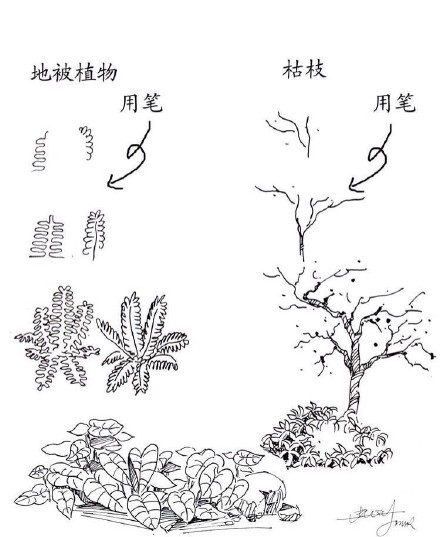 #绘画学习# 一些实用的 植物速写技法，累积下来了好资料，学习！