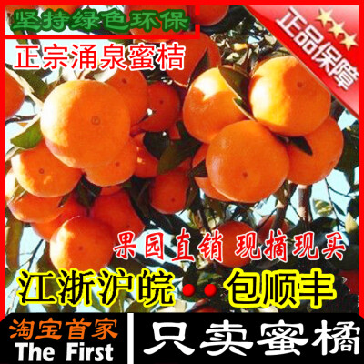 【哎呦不错】正宗涌泉蜜桔新鲜水果特产桔子宫川黄岩蜜橘正品包邮