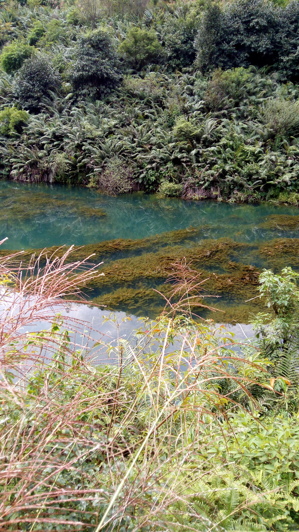 高要砚岗,山青水秀