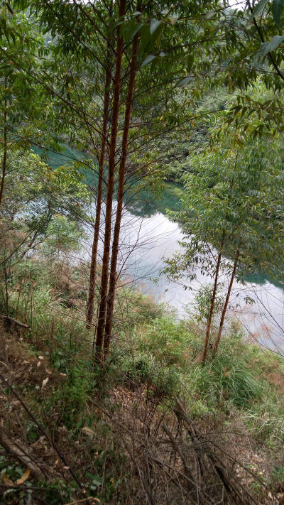 高要砚岗,山青水秀