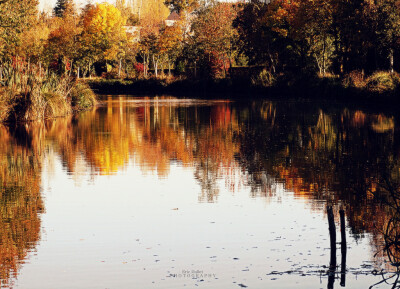 Reflets d'automne - Eric DOLLET