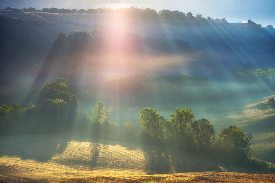 在茂密的树林中,常常可以看到从枝叶间透过的一道道光柱,类似于这种