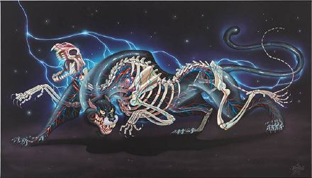 奥地利著名街头艺术家 Nychos （O尖峰视界）热衷于描绘生物的解剖结构。这组惊人的透明动物是他最新的画作～