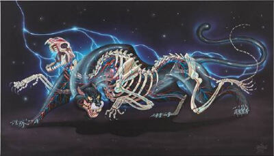 奥地利著名街头艺术家 Nychos （O尖峰视界）热衷于描绘生物的解剖结构。这组惊人的透明动物是他最新的画作～