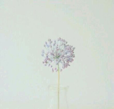 十月你好 请善待我们