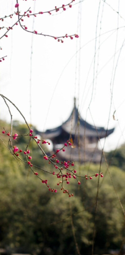 “ 细雨生寒未有霜，庭前木叶半青黄。小春此去无多日，何处梅花一绽香。” · 仇远《立冬》