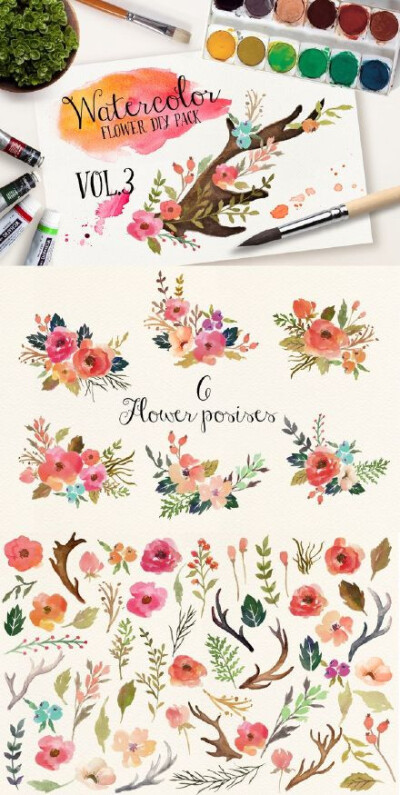 和你分享超多超好看的涂鸦绘本《秘密花园》中的花卉植物矢量素材。如果恰好你也喜欢涂鸦《秘密花园》绘本，不妨下载参考下喽。