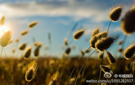  中国乡下人有句老话，送人一斗米是恩人，送人一担米是仇人。帮朋友的忙，正在他困难中救济一下，他永远感激，但帮助太多了，他永不满足。往往对好朋友，自己付出了很大的恩惠，而结果反对自己的，正是那些得过你的恩惠的人...一个人的失败，往往失败在最信任、最亲近的人身上?！匣宠? id=