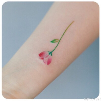 watercolor tattoo 