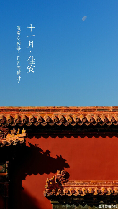 浅影交相语，日月同辉时。#紫禁城岁时#京城连日阴雨，身体倍需温暖的呵护，就连簌簌飘落身旁的秋叶也失去了往日温郁的味道。愈加怀念那一方斜阳、一抹金色的暄和，祈【十一月•佳安】。