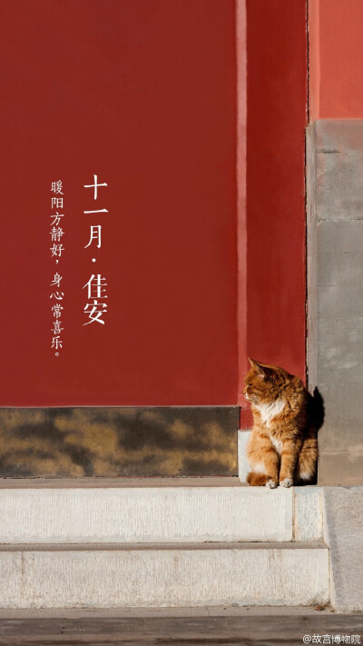 暖阳方静好，身心常喜乐。#紫禁城岁时#京城连日阴雨，身体倍需温暖的呵护，就连簌簌飘落身旁的秋叶也失去了往日温郁的味道。愈加怀念那一方斜阳、一抹金色的暄和，祈【十一月•佳安】。