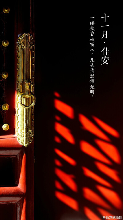 一缕秋香破窗入，几丛倩影倾光明。#紫禁城岁时#京城连日阴雨，身体倍需温暖的呵护，就连簌簌飘落身旁的秋叶也失去了往日温郁的味道。愈加怀念那一方斜阳、一抹金色的暄和，祈【十一月•佳安】。