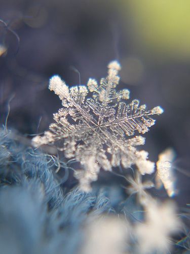 雪花之美