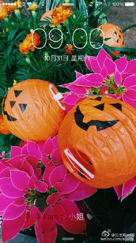 Hallow's Day。关注新浪微博@公主xiao囡 ，截图后，私信她，即可获得原图。（请注明是堆糖上看到的。截图也一定要发给她哦，否则她不知道你想要哪张呢。)