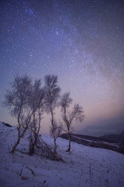 雪山，银河与树。雪后的灵山诞生了这梦幻组合。生命之一瞬与星空之永恒，矛盾却又和谐统一。@司空逸浪 2015年11月14日摄于北京东灵山。尼康D610 + 20mm f1.8镜头，ISO 6400，f/1.8，曝光30秒，地景5张平均值叠加降噪…