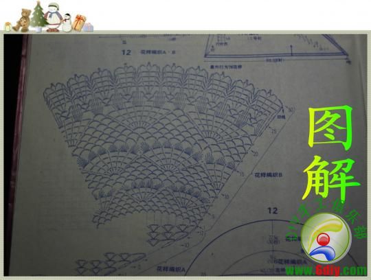 用线：线满西楼家韩国天丝 用针：潮州 8 号 用量：五两 起针100辫子然后一辫子一短针，四辫子一短针重复。。。。钩20个网格，接下来钩水草花并在二边加水草，钩十二排，此时水草有42个，再按图解钩。