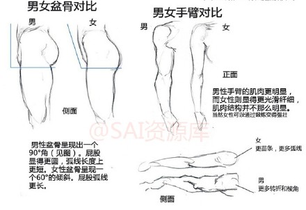 #SAI资源库# 动漫人物的全面绘画参考、五官（脸部、眼睛、鼻子和耳朵）、人体比例、手臂和手掌、进阶阴影描绘参考。值得收藏学习，转需~