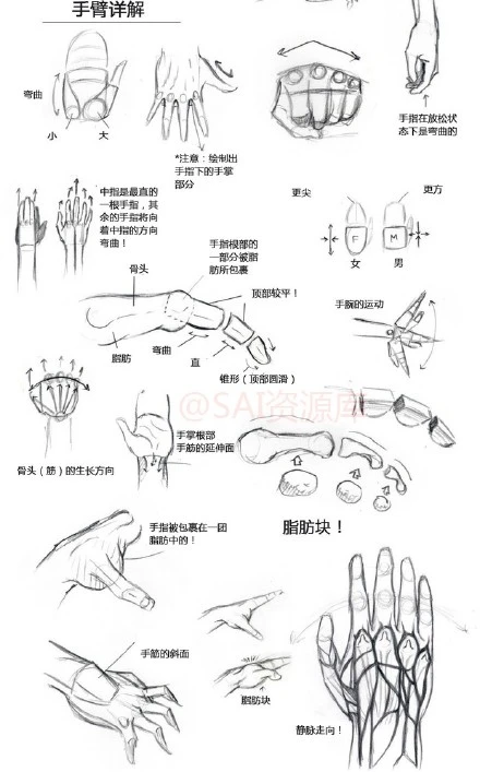 放松手部参考