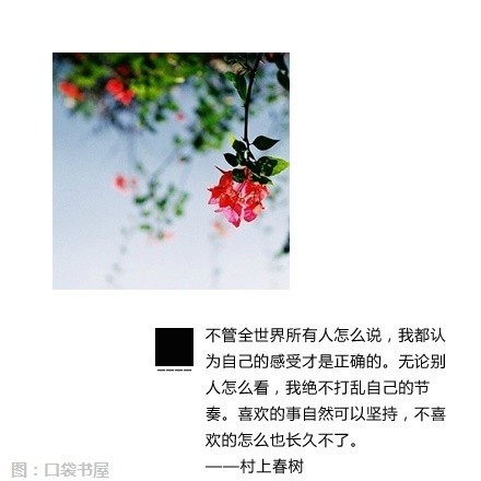 哪里会有人喜欢孤独，不过是不喜欢失望。—— 村上春树