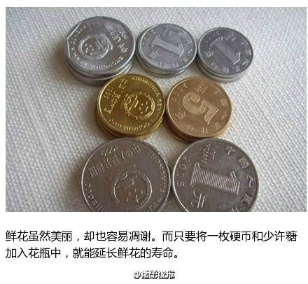 【告诉你日用品中隐藏的神奇妙用】你知道吗？很多日用品除了它本身的功能外，还隐藏有许多意想不到的神奇妙用，不仅可以节省时间和金钱，也让生活变得更加便利。家庭主妇和煮夫们，快快学起来吧！（转）