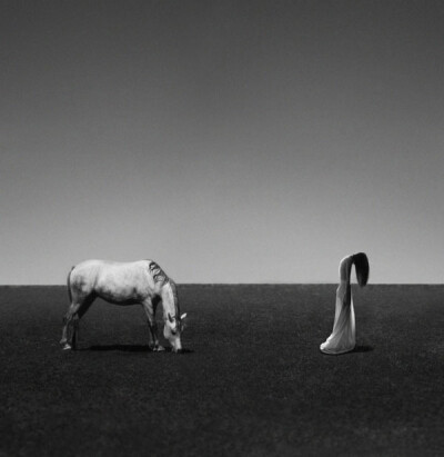 Noell Oszvald 黑白、线条、极简风格人像