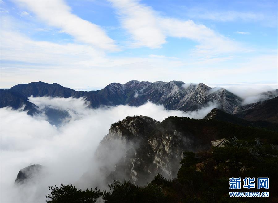 #（美丽中国）（1）庐山现云海雾凇 奇观幻如仙境