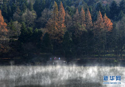 #（美丽中国）（3）庐山现云海雾凇 奇观幻如仙境