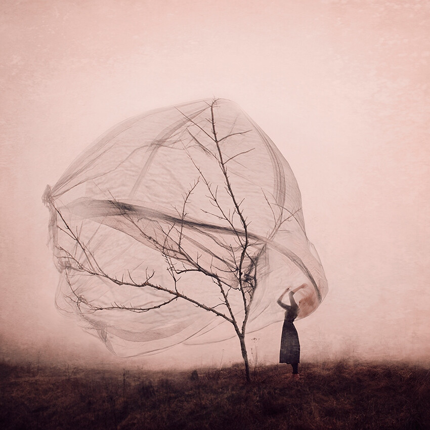 Kylli Sparre | 梦幻般的想象力