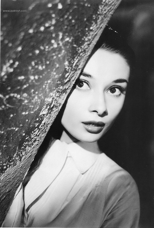 奥黛丽赫本、奥黛丽赫本、最爱的奥黛丽、赫本